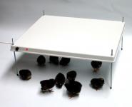 HEKA-Warmteplaat voor 15-20 kuikens