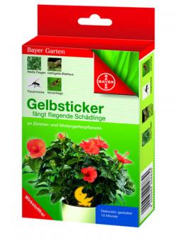 Gelbsticker 