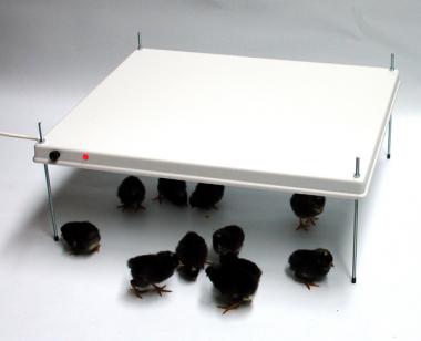 HEKA-Warmteplaat voor 30-35 kuikens met thermostaat | zonder poten