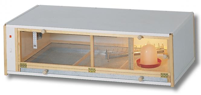 Kuikenopfokbox voor ca. 80-90 kuikens, 122x60x34cm 